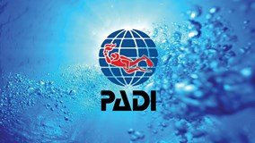 padi