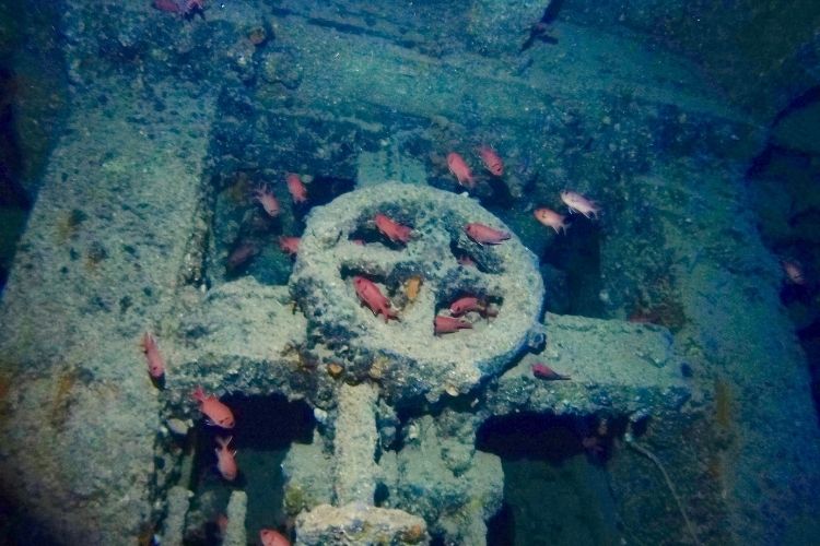 Wreck Diving around Sharm El Sheikh 