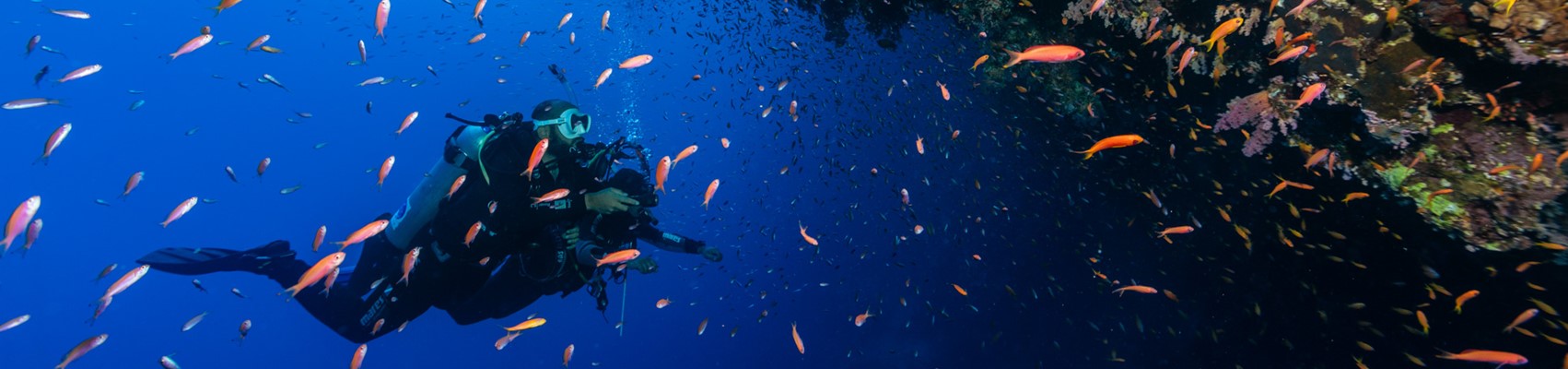 Day trip to Blue Hole Dahab