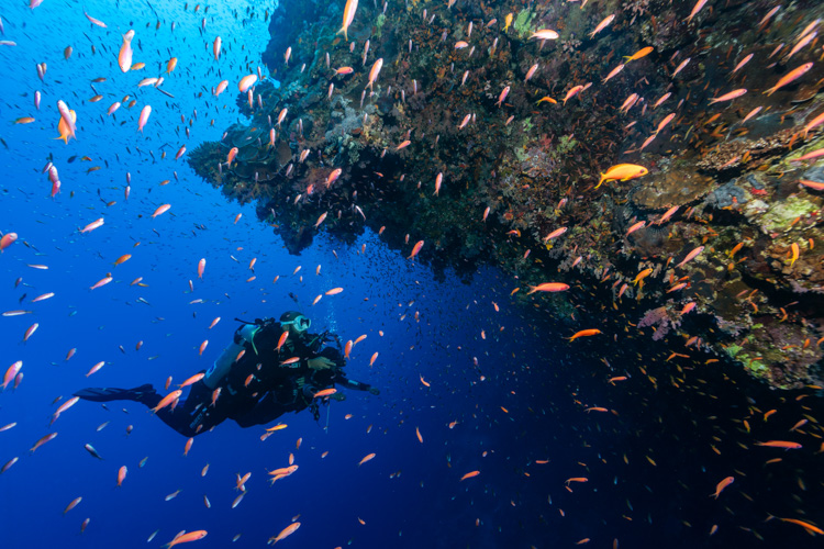 Day trip to Blue Hole Dahab