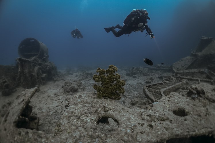 Wreck Diving around Sharm El Sheikh 