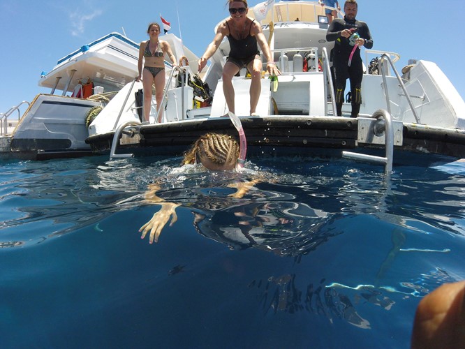 Snorkelling Sharm El Sheikh 