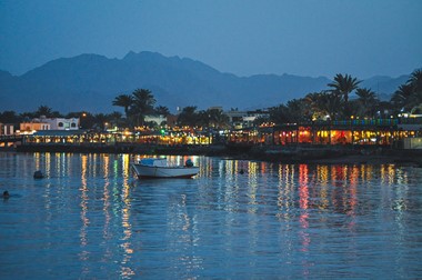 Night Diving in Dahab