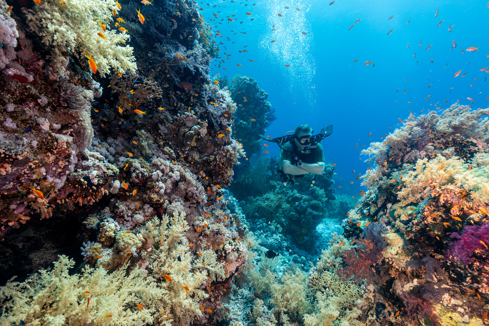 Best diving spots