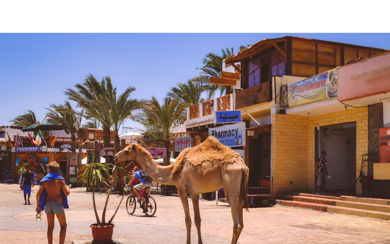 Tauchen in Dahab – das ist anders!