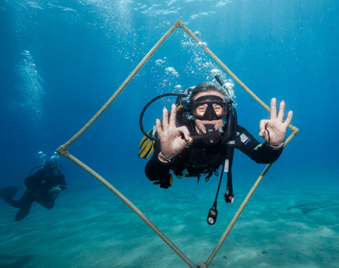 Open Water Diver Course + 3 Days Diving Package